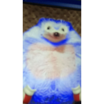 Sloth_gamer