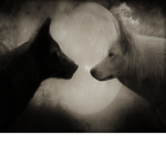 Jaws and paws furry fan group
