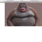 MONKEY MONKEY MONKEY MONKEY MONKEY MONKEY