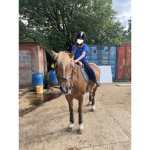 Daisy and Lily's group