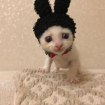 [<3.]