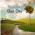 owlcity