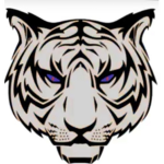 Tiger Strike karate