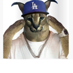 Stronk cat army and popcat