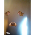 Gatitos kawway