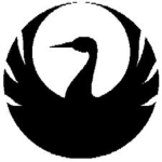 The Alliance of clans (TAC)