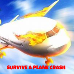 Survive A Plane Crash