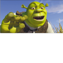 SHREK OBBY! *new*