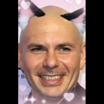 Date with Pitbull THANK YOU FOR PLAYING FLAMINGO