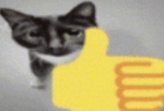 doge epicccc fan group