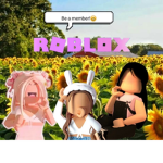 A e s t h e t i c s S u n f l o w e r s