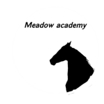 Horses ))meadow academy