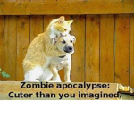 Pupper Army