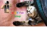♡D.I.Y Fan Group♡
