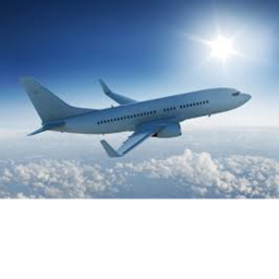 [ALIEN EVENT] Airplane Flight
