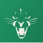 Wildcat High School