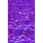 ~purple group~