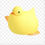 Ducky Colt