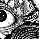 ✧