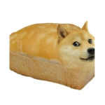Friends and doges