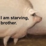 Brother, may I have some oats..?