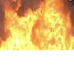 Pls join I will give bobux