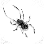 Dusksveil
