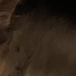 >ᴗ<