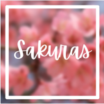 Yukii Sakuras <3