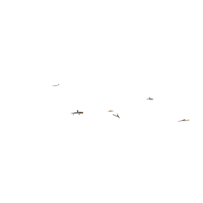 Weapons