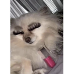 BaddieFundsxxx