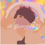 uh_flamgostuff's flamgos