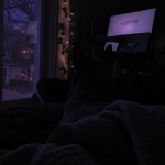 K's DarK Nest