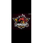 Dragon Esport