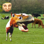 The Horses cult