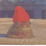 night frogs