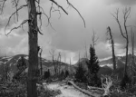 Desolation.~