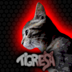 🐈Tigresa:First Edition