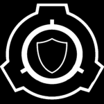Site 107 Security forces