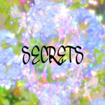 $ECRETS <3