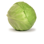 Cabbage Rolls