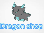Dragon clothing shop