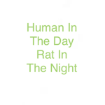 Rats Of Ratatouille