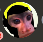 boblo bros