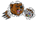 The Gaming Bear Club