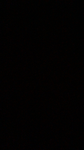 جيش نونو