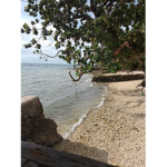 1198lPHcebu