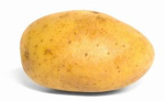 Potatogroup12321