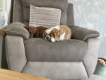 Mason and fudge