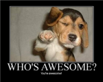 J.I.Y.A (Join if your awesome)